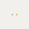 ||TLESStarG