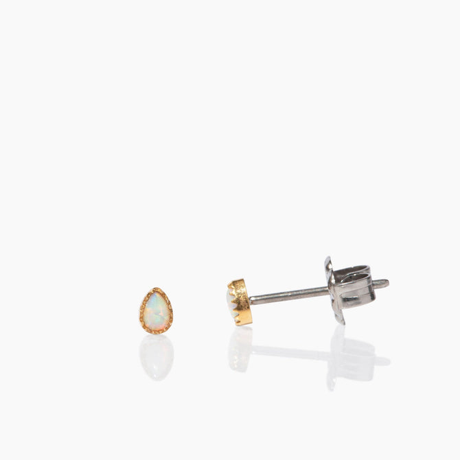 Sasha Studs