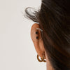 Single Maris Flat Back Stud Earring