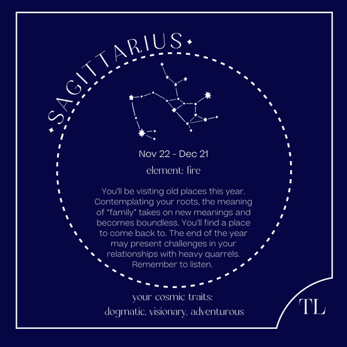 Tini Lux Hypoallergenic Titanium Zodiac Sagittarius Studs