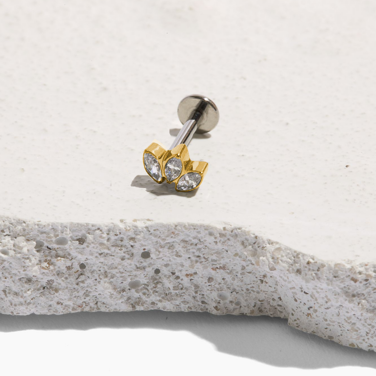 Titanium Flat Back Stud Earrings Tini Lux